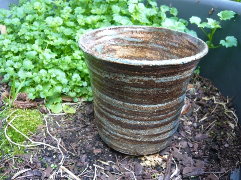 Pot-plantes